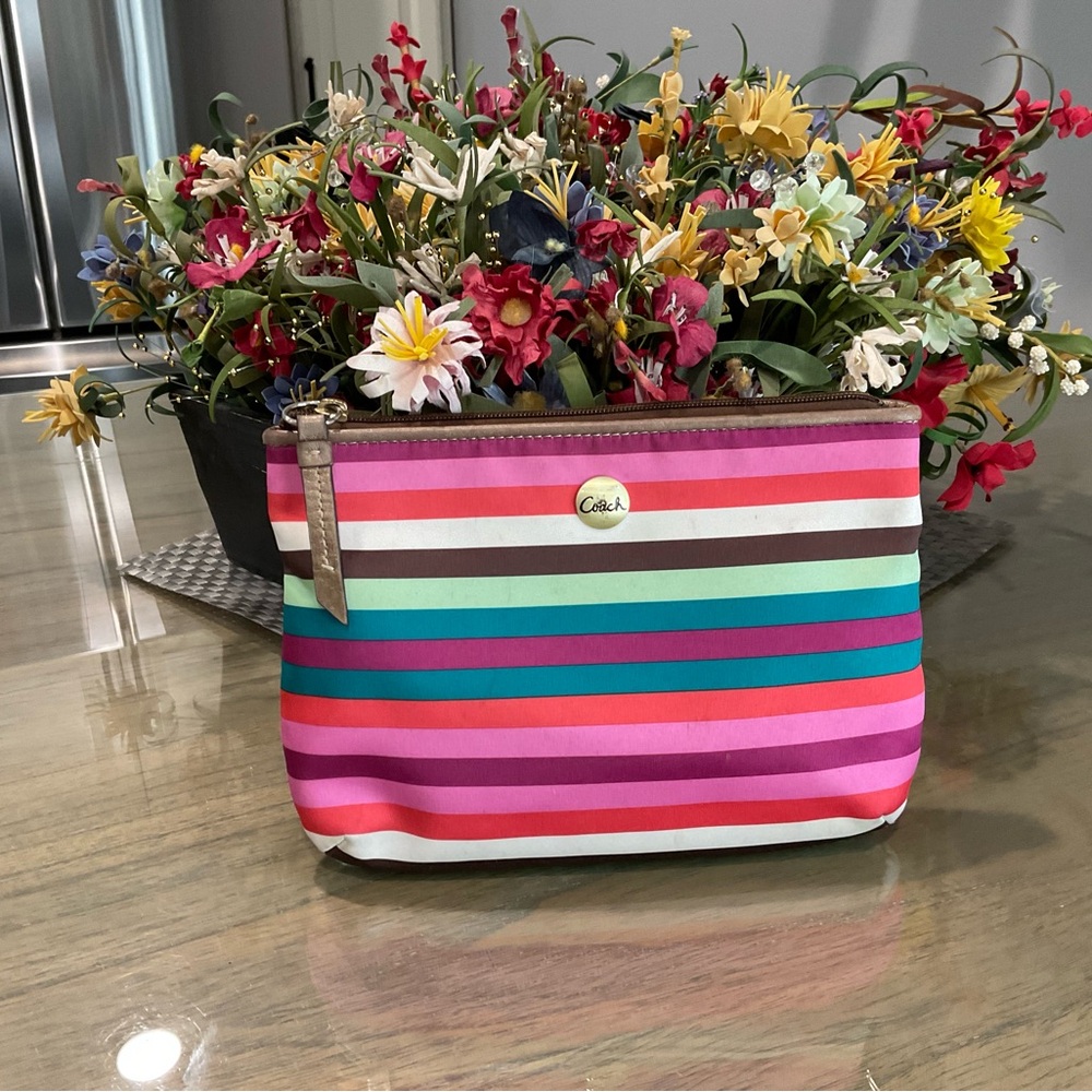 Colorful Striped Cosmetic Bag by Coach